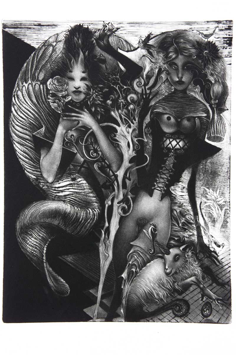 Adam's Female Friends (Adamove prijateljice), 40 x 30 cm, mezzotint, 2000 – graphic print by Željko Đurović.